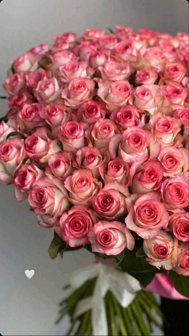 Harmony in Bloom: Vibrant Melody of Flowers